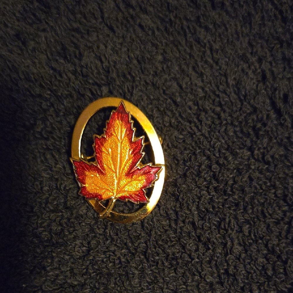 Vibrant Leaf Brooch in Gold and Red
